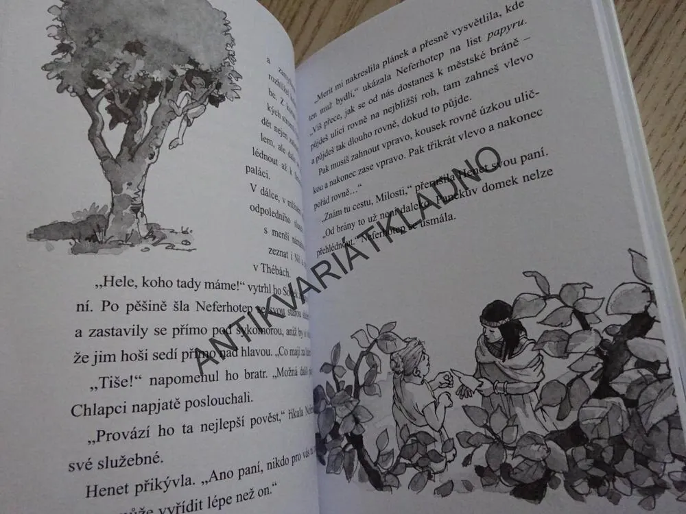 PÁTRÁNÍ NA NILU, ZLOČINU NA STOPĚ, HOLLEROVÁ, **an