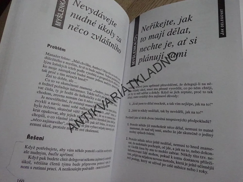 REPETITORIUM MANAŽERSKÝCH DOVEDNOSTÍ, JAK ZDOKONALIT SÁM SEBE, JOHN PAYNE, SHIRLEY PAYNE, **an