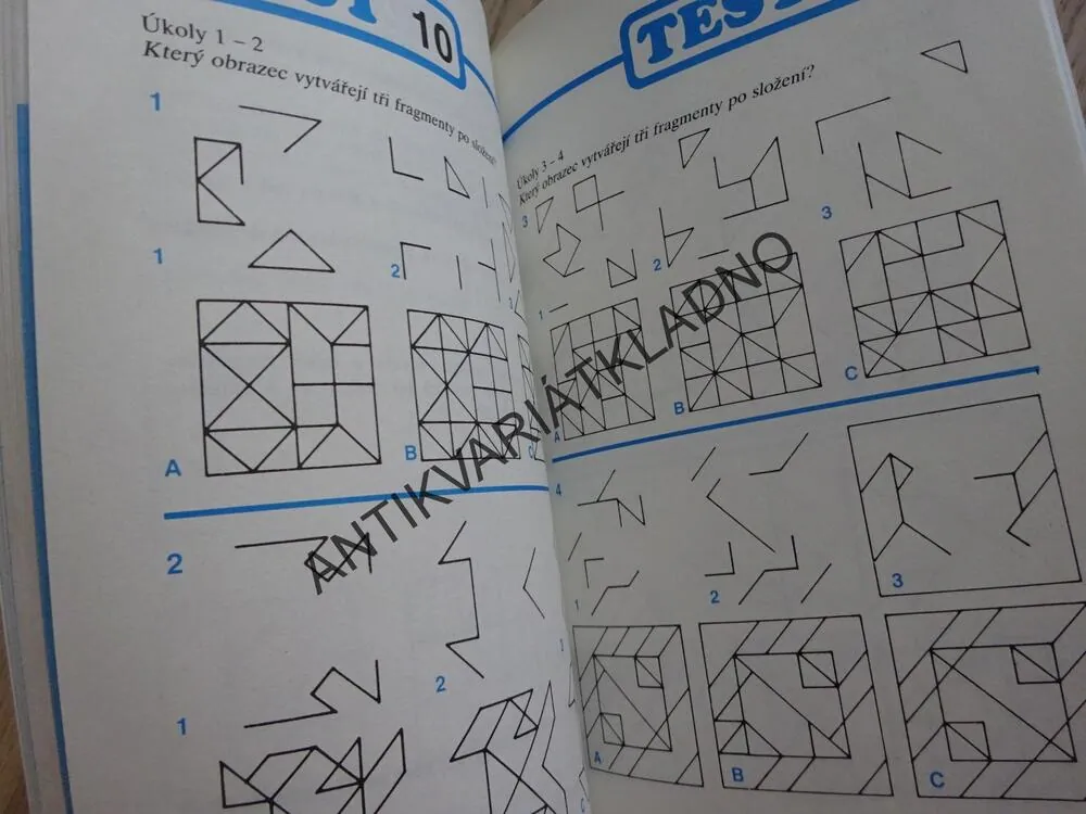 IQ TEST PRO KAŽDÉHO, J. E. KLAUSNITZER, **an