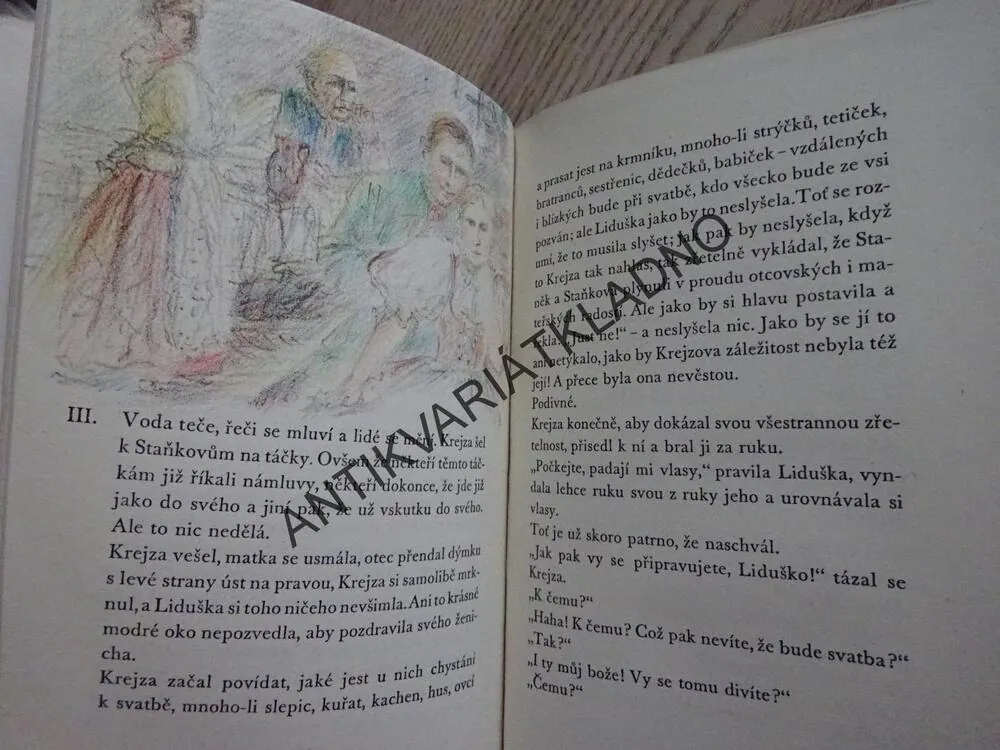 MUZIKANTSKÁ LIDUŠKA, VÍTĚZSLAV HÁLEK, **an