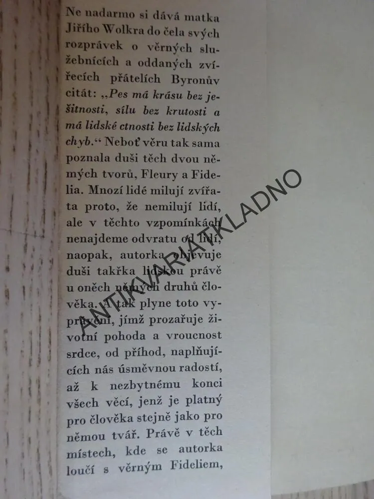 MĚLI JSME DVA PSY, ZDENA WOLKEROVÁ, **an