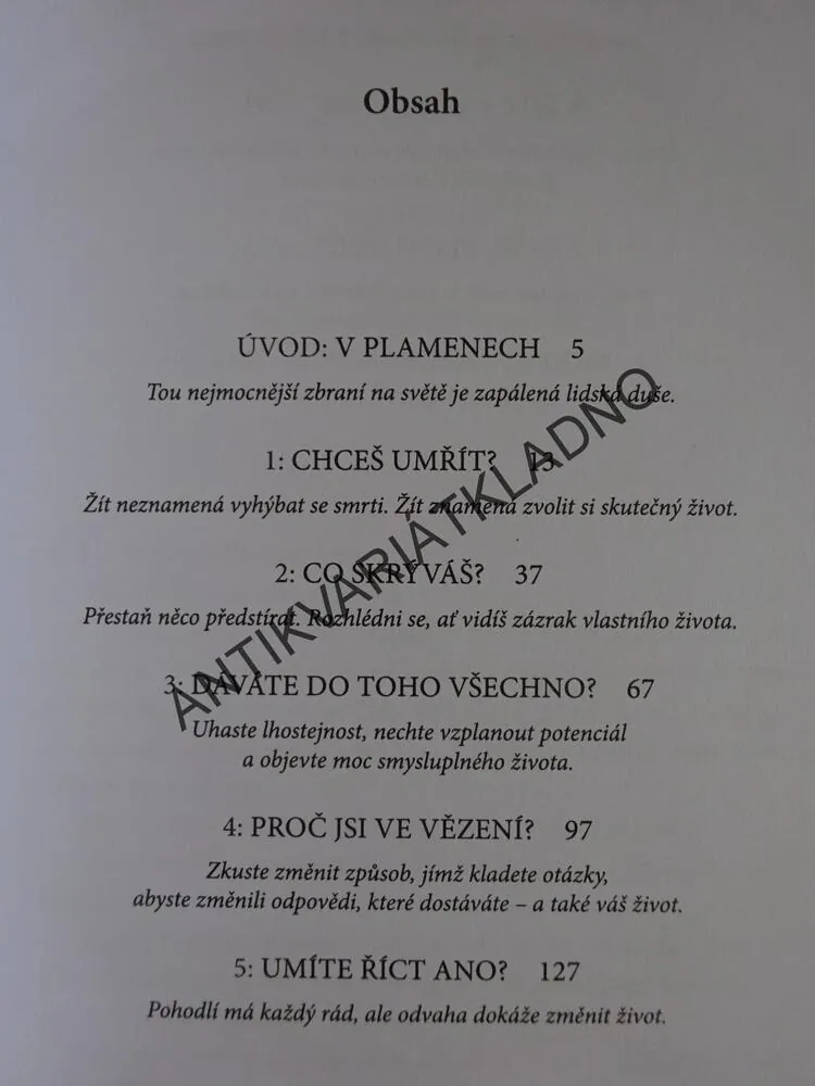 ZAPÁLENÝ, CYNTHIA DITIBERO, JOHN O'LEARY, **an