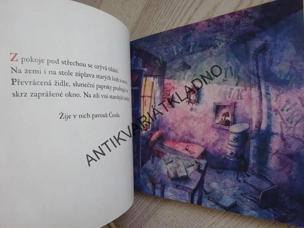 DOBRODRUŽSTVÍ PAVOUKA ČENDY, PAVEL ČECH, **an