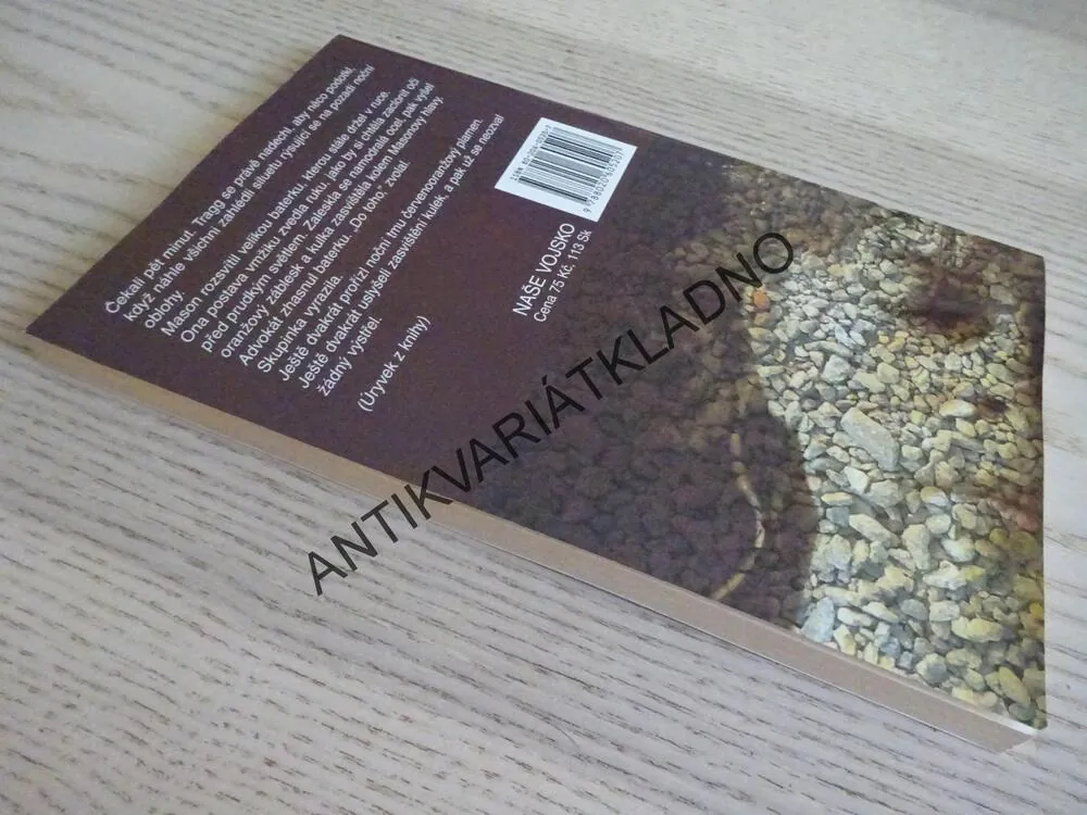 POTÍŽE SPRÁVCE JMĚNÍ, ERLE STANLEY GARDNER, **an