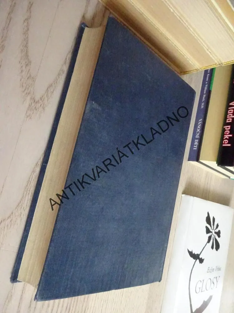 BRÁNA VÍTĚZSTVÍ, ERICH MARIA REMARQUE, **an