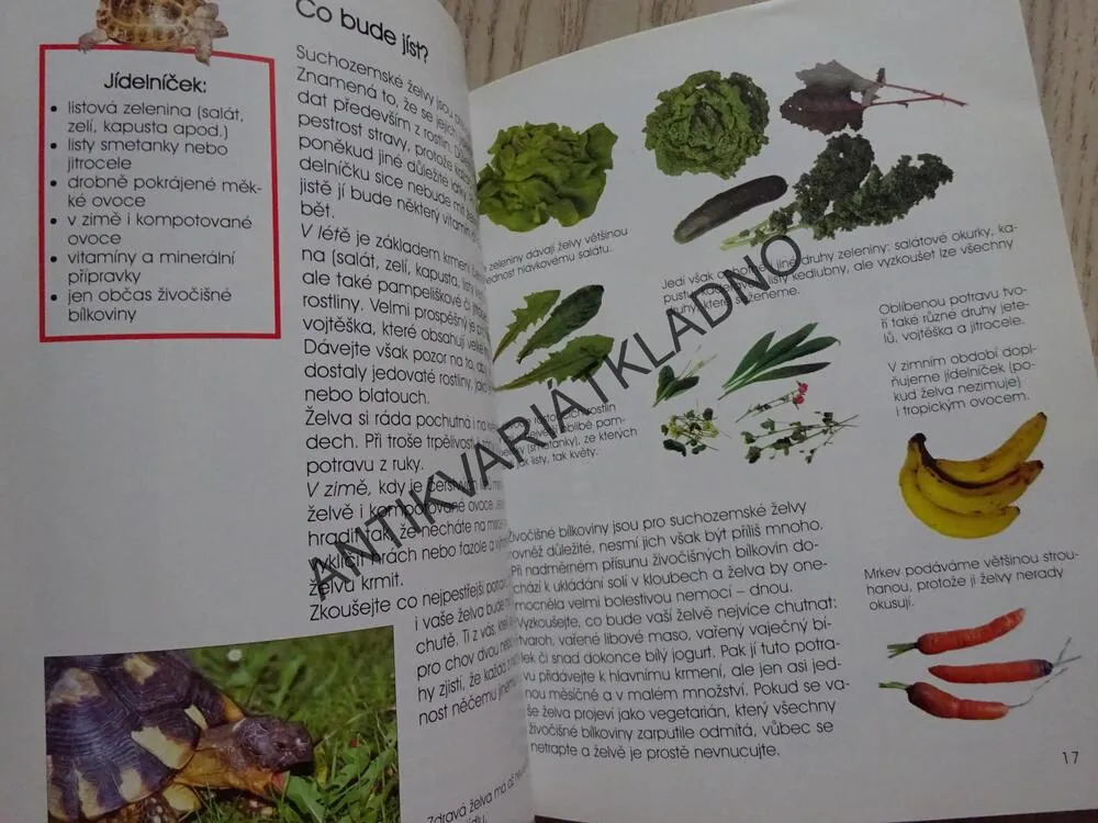 SUCHOZEMSKÁ ŽELVA, BYDLÍ S NÁMI, PRŮVODCE PRO MLADÉ CHOVATELE, **an