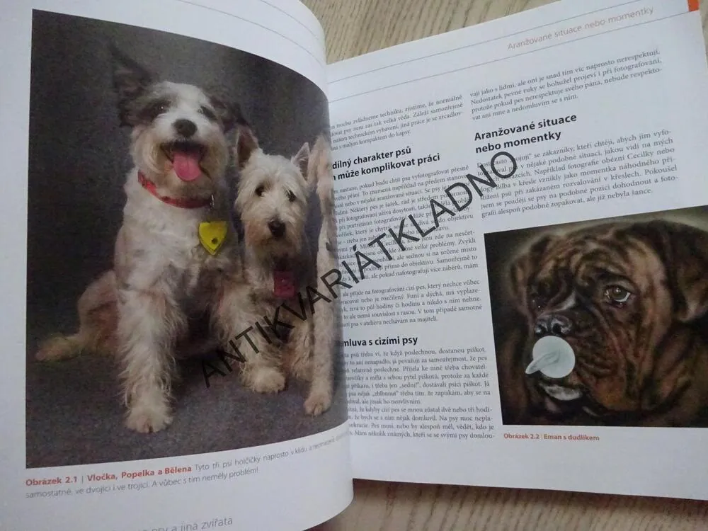 FOTOGRAFUJEME PSY A JINÁ ZVÍŘATA, ANTONÍN MALÝ, **an