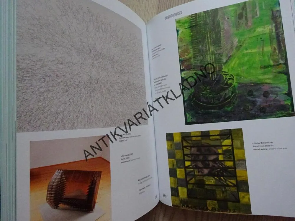 STAVY MYSLI/ZA OBRAZEM, OBMĚNY A INTERVENCE, **an