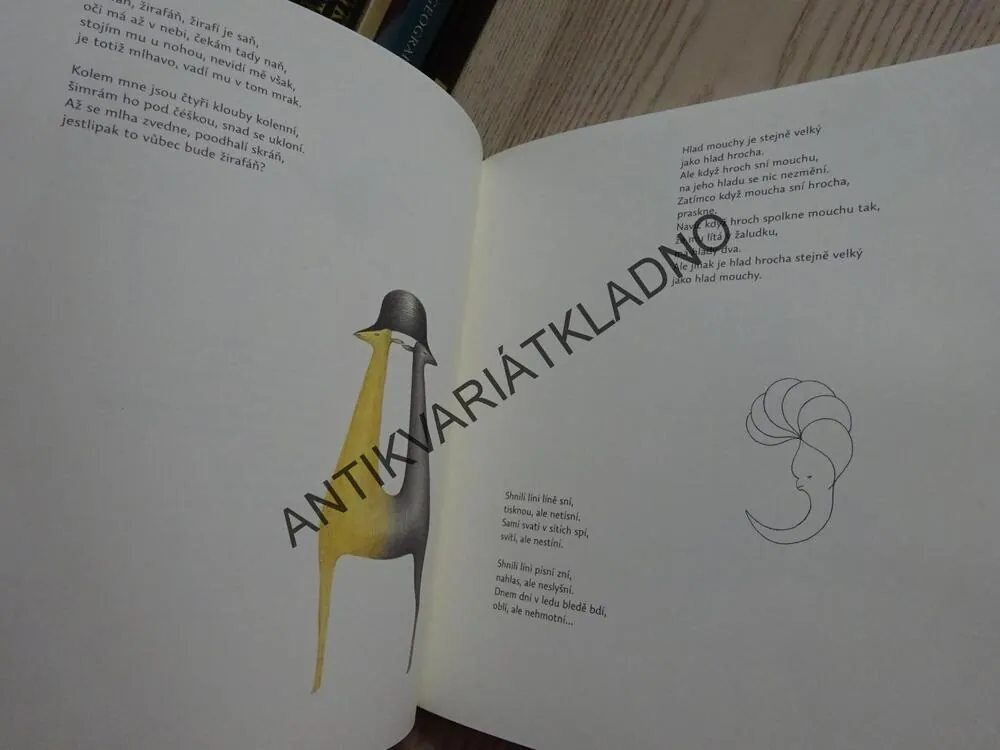 ZÁ HÁDKY, PETR NIKL, **an