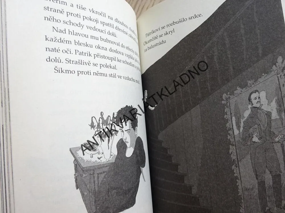 KLUB TYGRŮ, THOMAS BREZINA, ZÁHADNÝ DUCH, CHYBÍ LUPA, **an