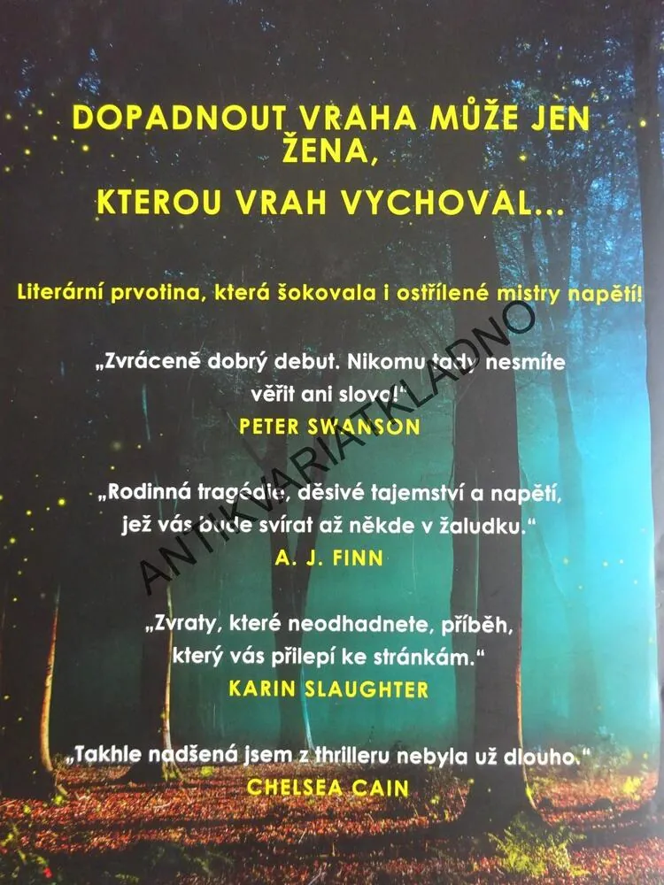 ZÁBLESK VE TMĚ, STACY WILLINGHAM, **an