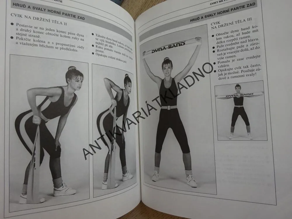DYNA-BAND, PERFEKTNÍ POSTAVA ZA 10 MINUT DENNĚ, HILARY ATKINSON, ANDRÉE DEANE, **an