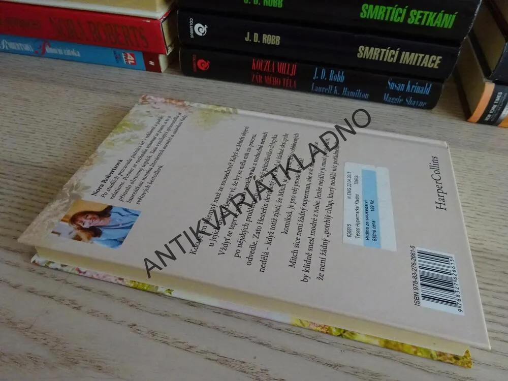 HRDINA ZE SOUSEDSTVÍ, NORA ROBERTS, **an