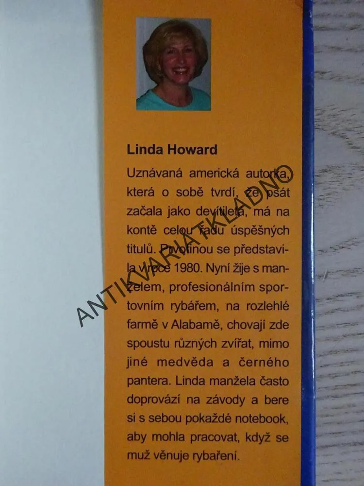 POD OCHRANOU NOCI, LINDA HOWARD, **an