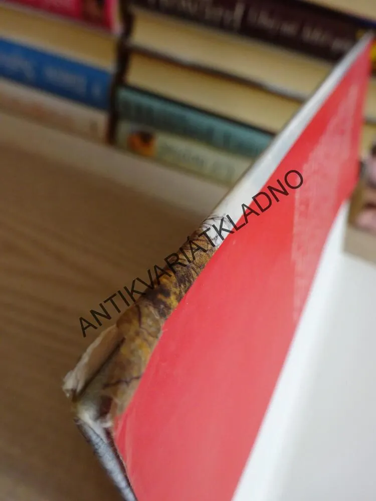 NEZVĚSTNÁ, LINDA HOWARD, **an