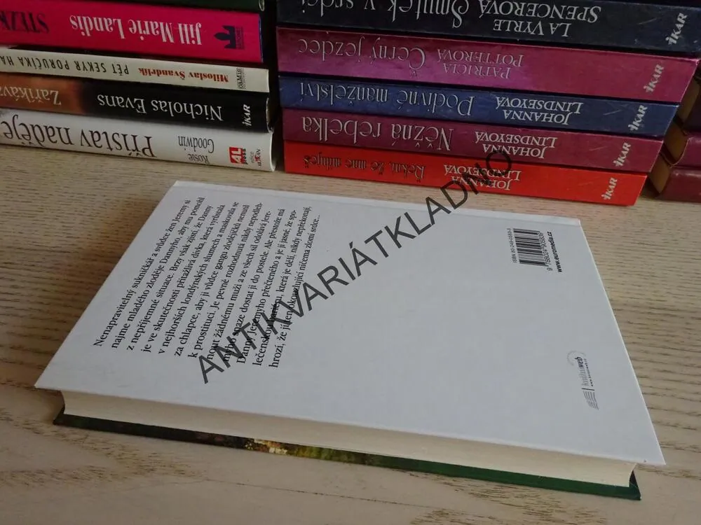 ZAMILOVANÝ NIČEMA, JOHANNA LINDSEYOVÁ, LINDSEY, **an