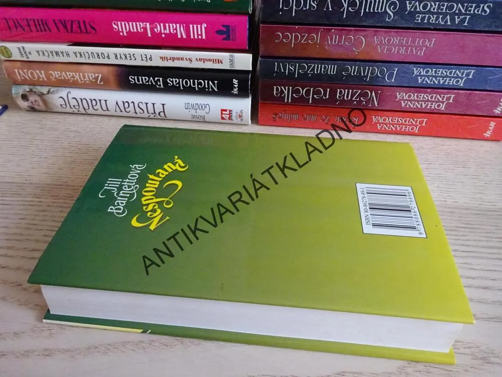 NESPOUTANÁ, JILL BARNETTOVÁ, **an