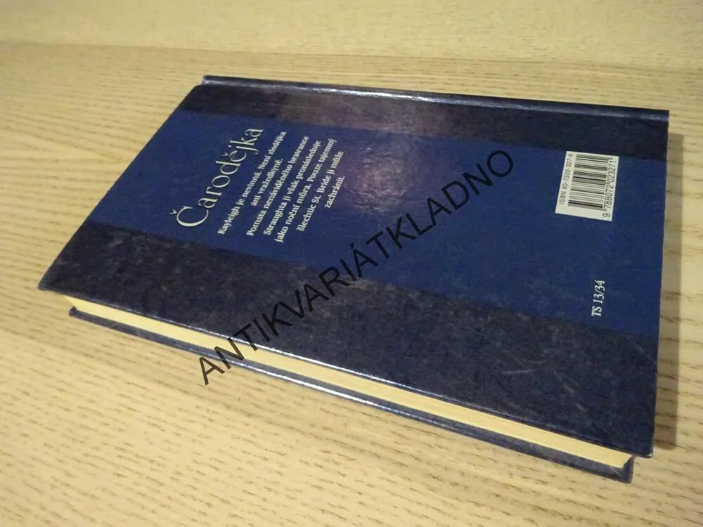 ČARODĚJKA, MEAGAN MCKINNEYOVÁ, **an