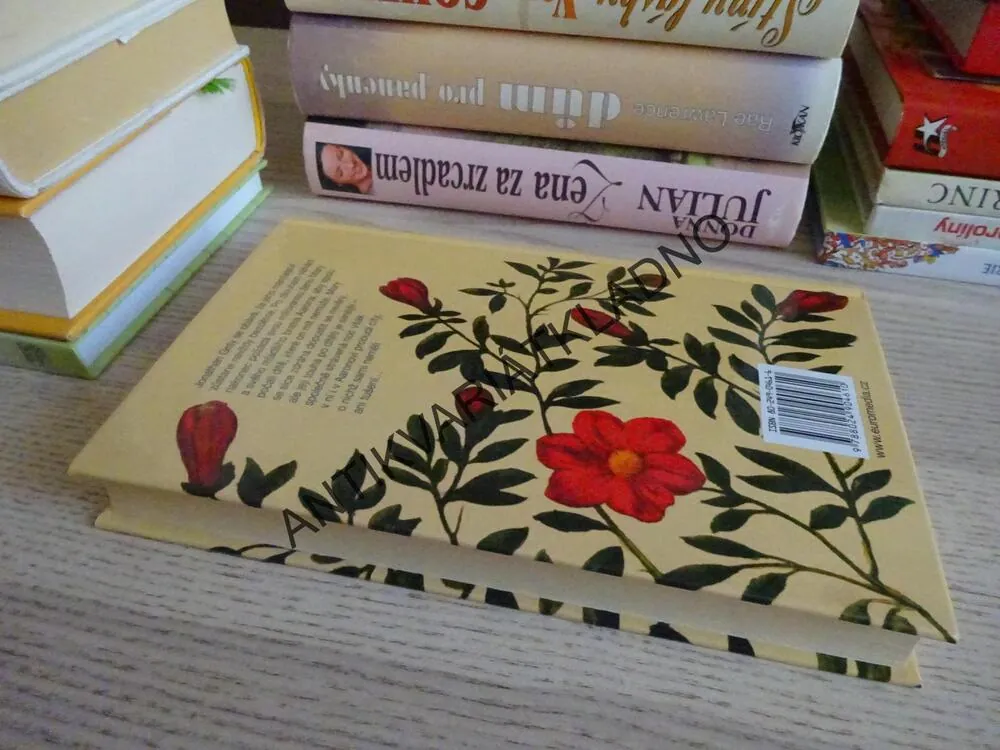 NAPLNĚNÍ, LAVYRLE SPENCEROVÁ, **an