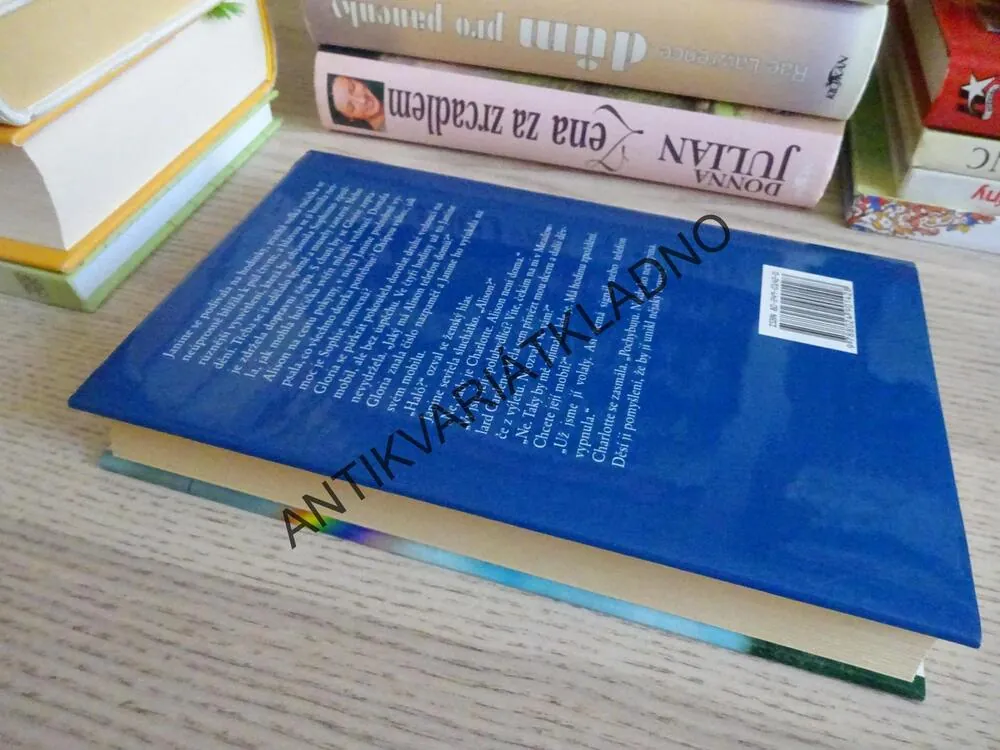 STROM ODVAHY, DIANE CHAMBERLAINOVÁ, **an