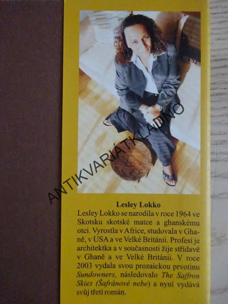 BOHATÁ DÍVKA, CHUDÁ DÍVKA, LESLEY LOKKO, **an