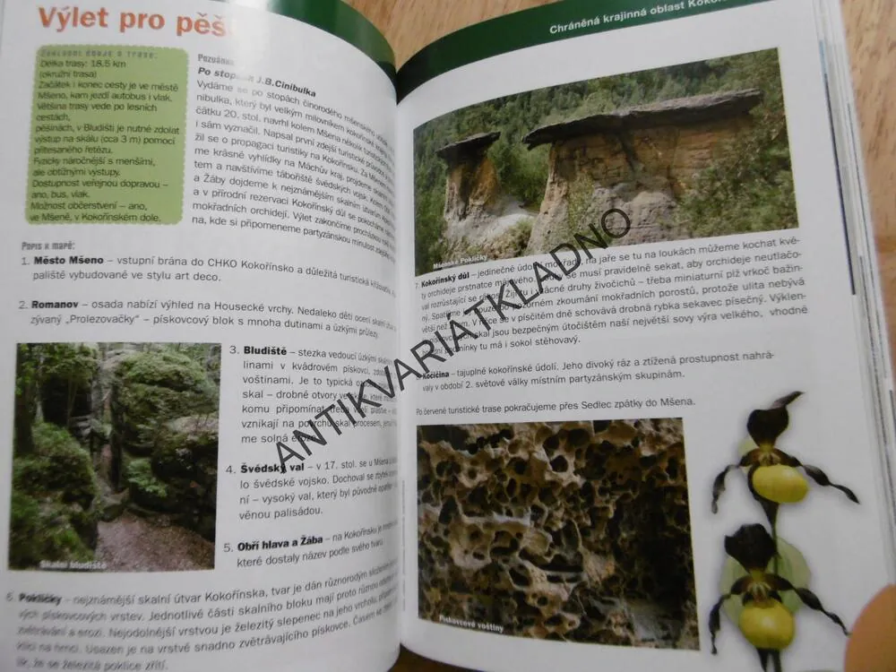 NEJKRÁSNĚJŠÍ VÝLETY AUTEM, RODINNÉ TOULKY, **an