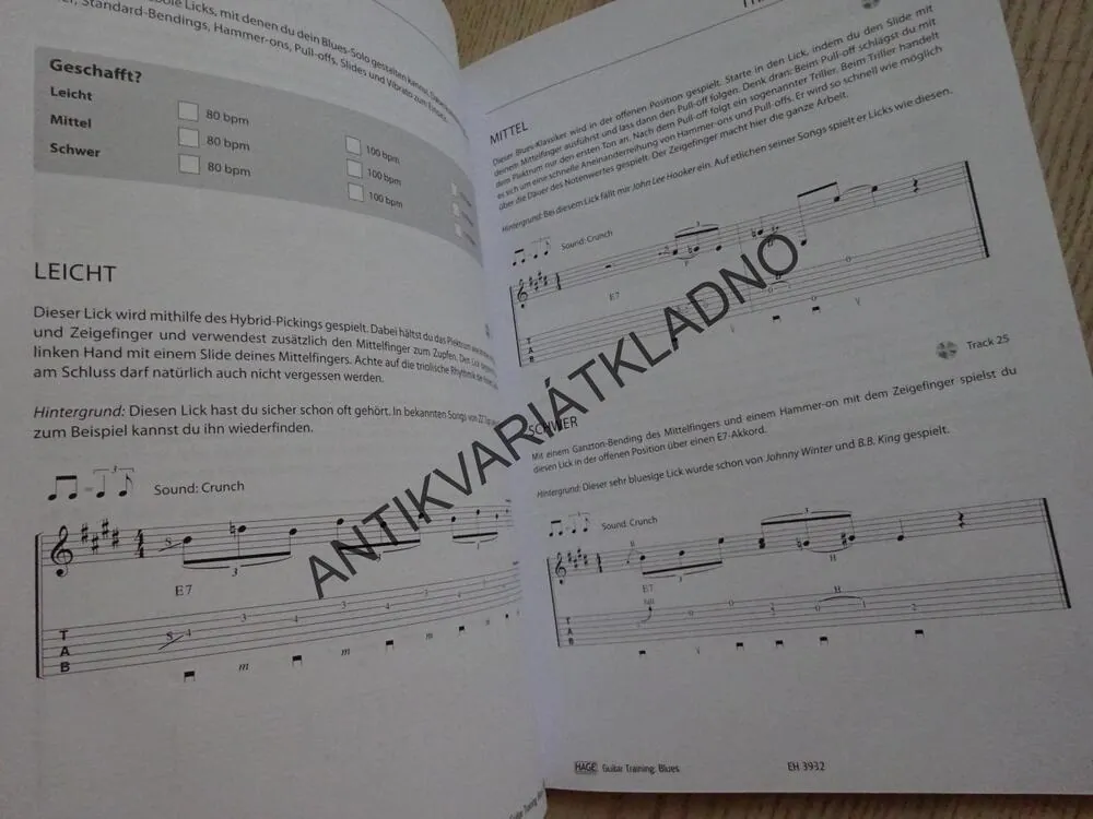 GUITAR TRAINING, BLUES, KYTARA, AKORDY, NĚMECKY, **an