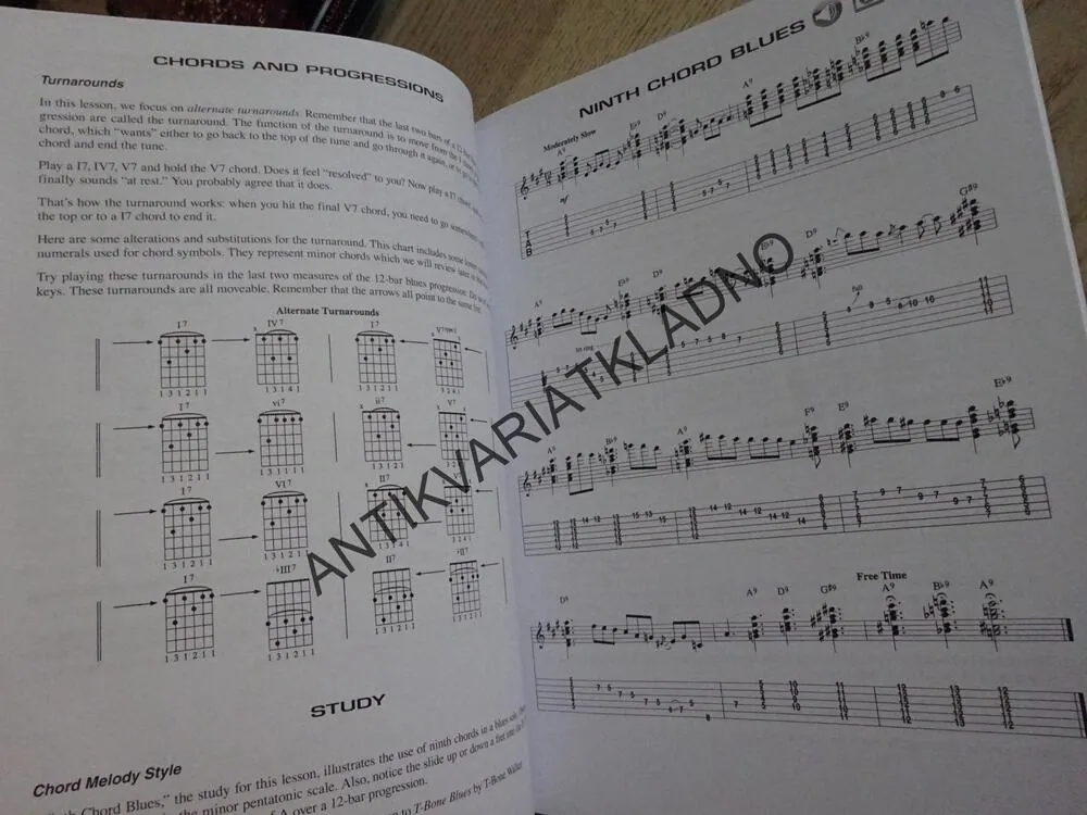 GUITAR CHORDS, CELKOVÝ PRŮVODCE UČENÍM NA BLUESOVOU KYTARU, KYTARA, AKORDY, ANGLICKY