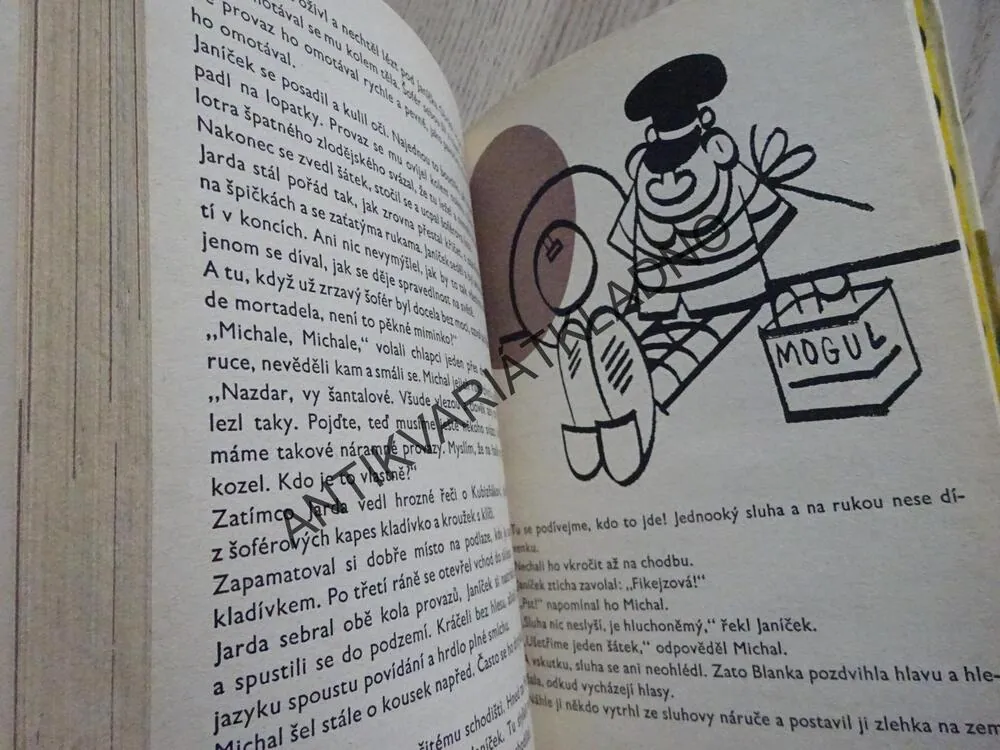 BOSÍ RYTÍŘI, OTA ŠAFRÁNEK, **an