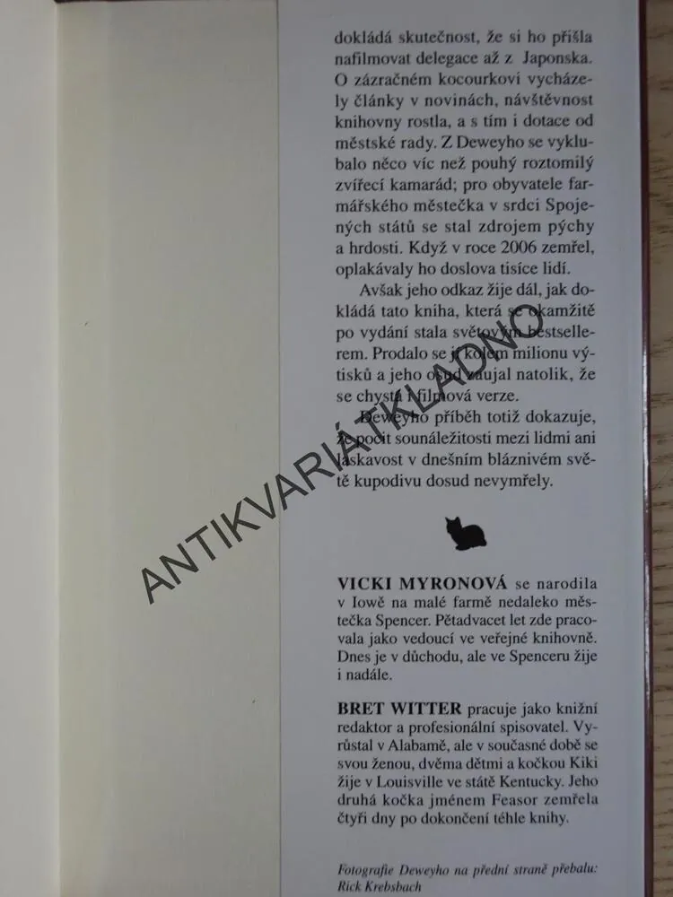 DEWEY, VICKI MYRONOVÁ, BRET WITTER, **an
