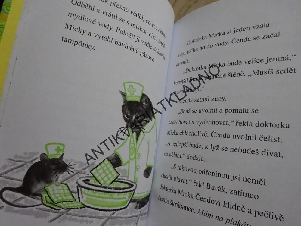NEŠIKOVNÉ ŠTĚNĚ, DOKTORKA MICKA, JANE CLARKEOVÁ, **an