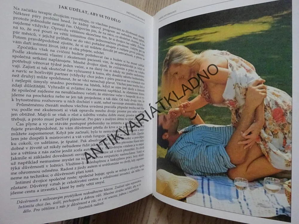 PRŮVODCE MILENCŮ, UMĚNÍ DŮVĚRNOSTI, ANDREW STANWAY, **an