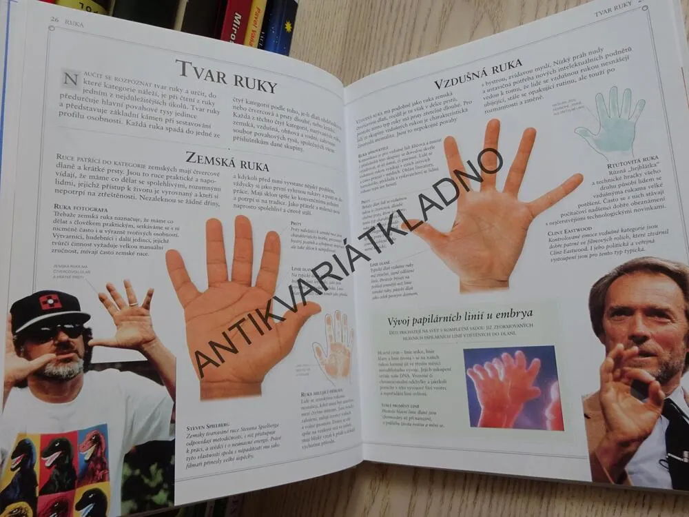 ČTENÍ Z RUKY, LORI REIDOVÁ, **an