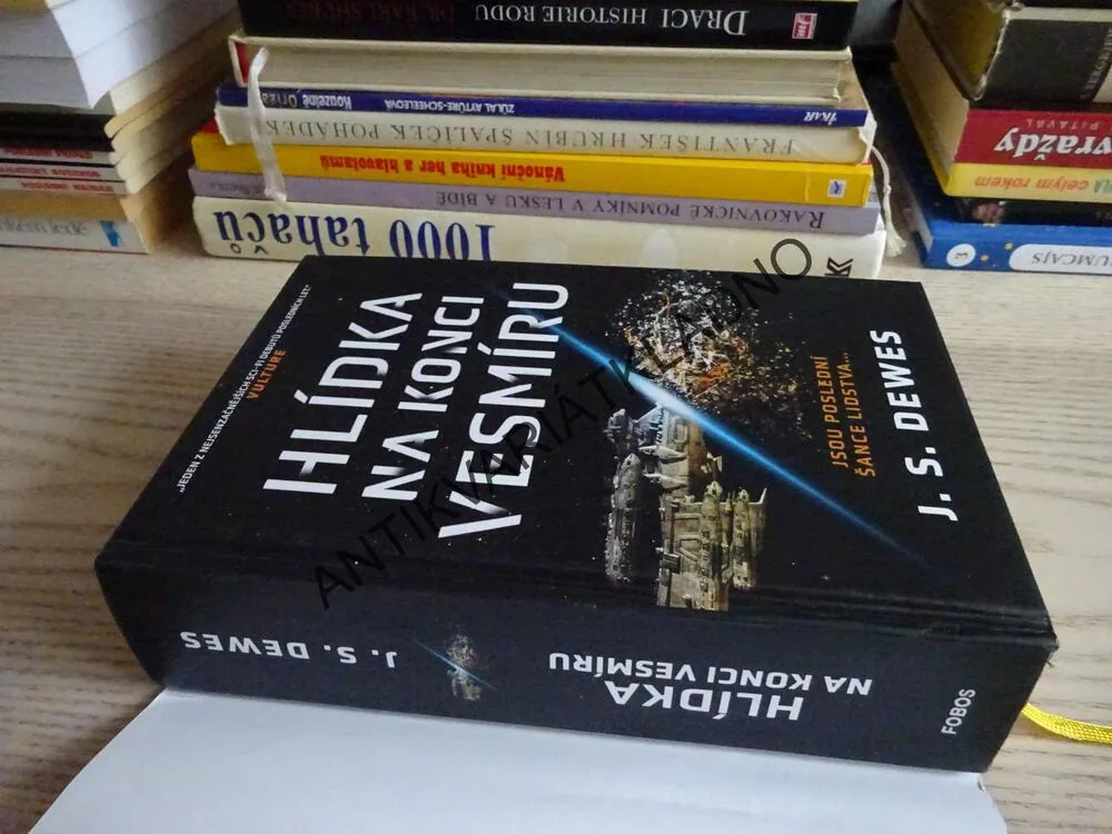 HLÍDKA NA KONCI VESMÍRU, J. S. DEWES, **an