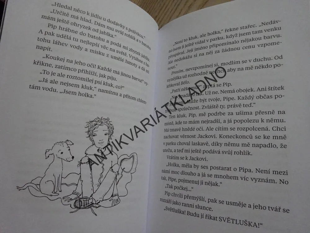 PSÍ HVĚZDA, LINDA COGGINOVÁ, **an