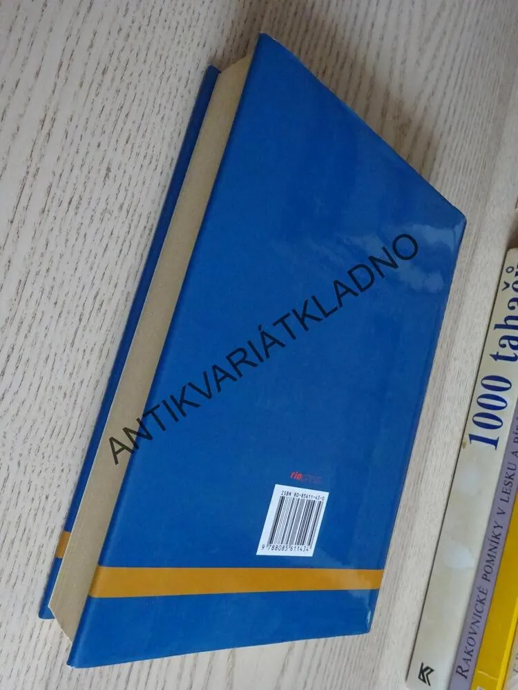 KDYŽ LOVÍ LEV, WILBUR SMITH, **an