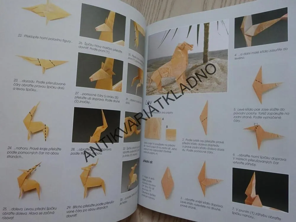 KOUZELNÉ ORIGAMI, ZULAL AYTURE-SCHEELEOVÁ, **an 