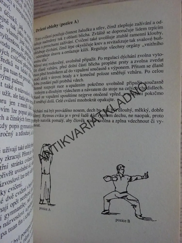 TCHAJ-ŤI ČCHÜAN A PA TUAN ŤIN, IVAN FOJTÍK, **an