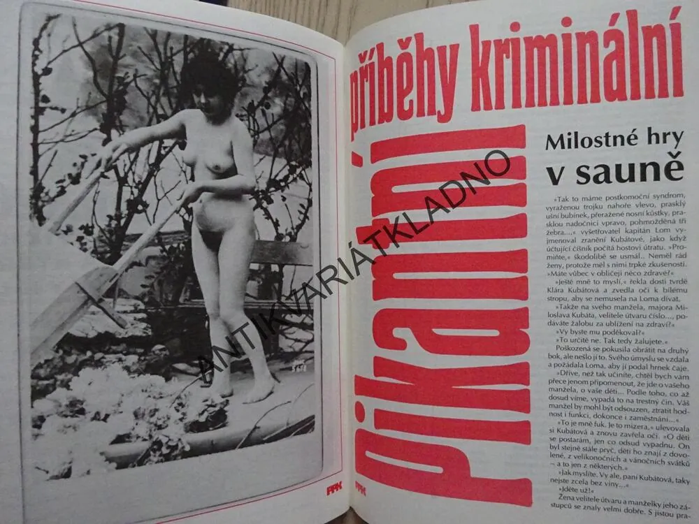 PRAŽSKÉ PŘÍBĚHY KRIMINÁLNÍ, ROČNÍK 1, ČÍSLO 5/1993