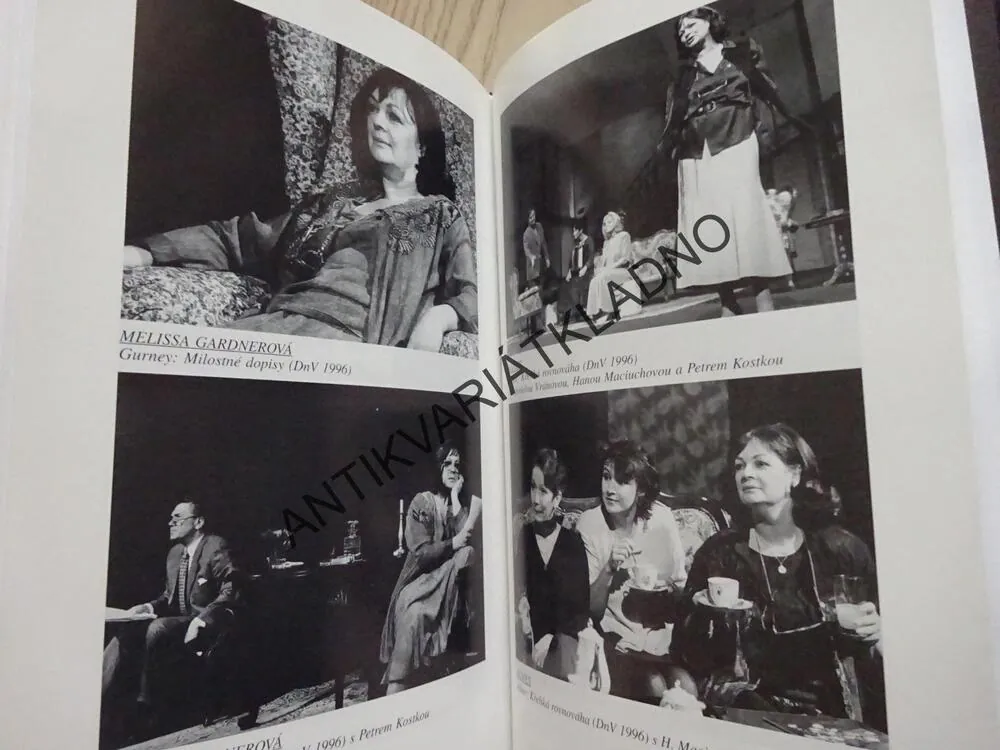 JANA HLAVÁČOVÁ, ŽENA V MNOŽNÉM ČÍSLE, HELENA SUCHAŘÍPOVÁ, **an