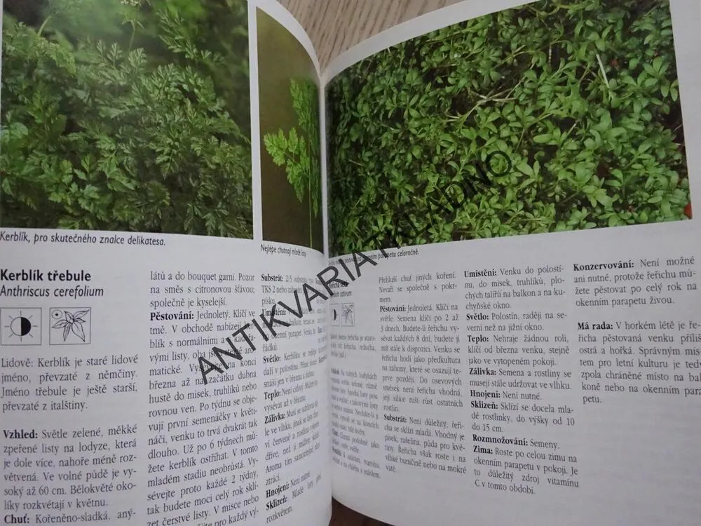 BYLINKY NA OKNĚ, NA BALKONĚ A NA ZAHRADĚ, CHRISTINE RECHTOVÁ, **an