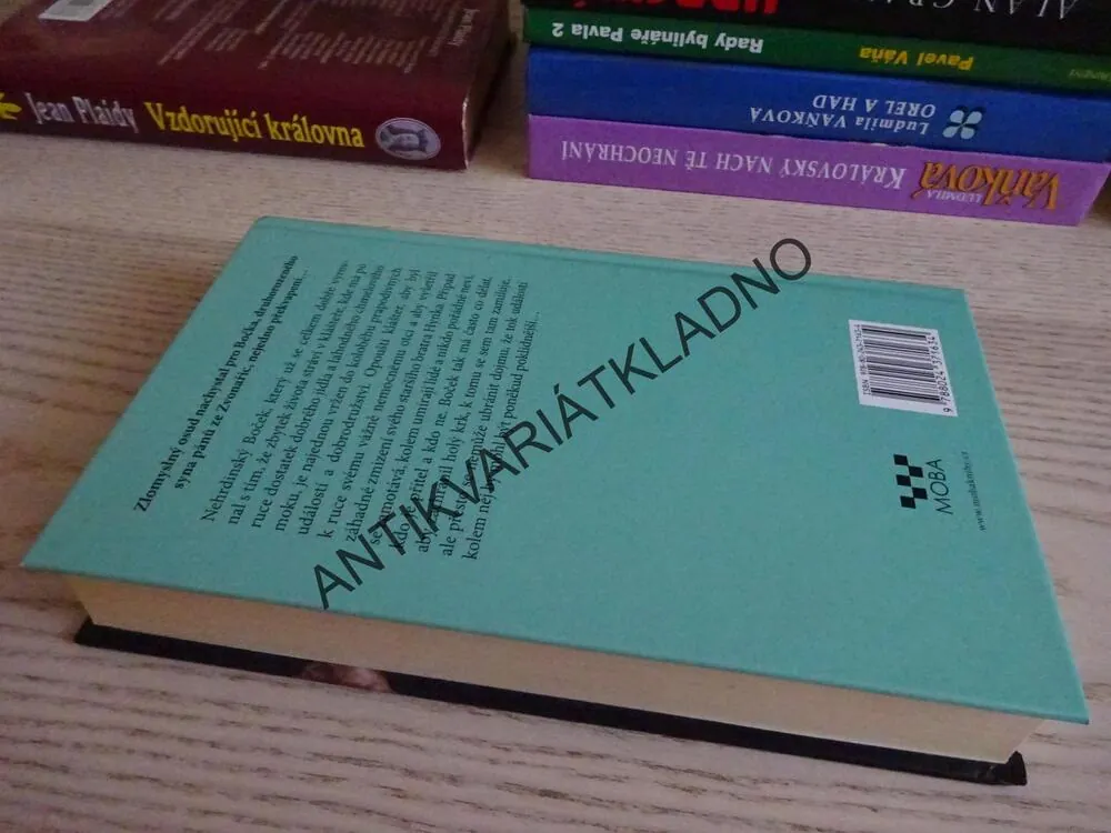 DRUHOU NOHOU V HROBĚ, DAVID NEDOMA, **an