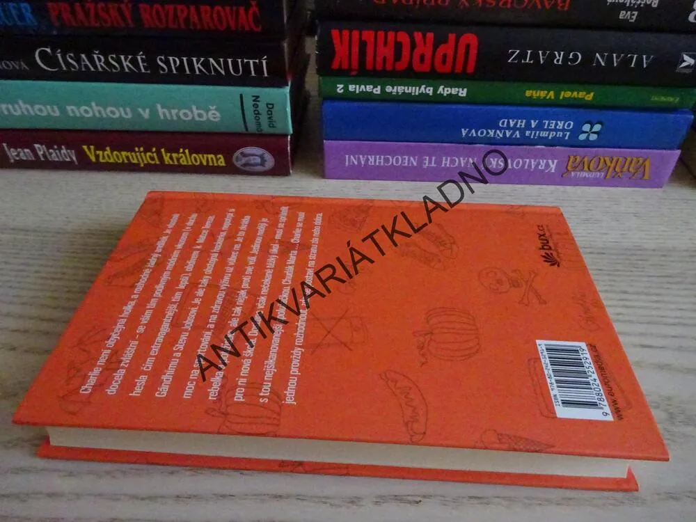 POTÍŽISTKA PROTI SVÉ VŮLI, MARIA T. LENNONOVÁ, **an