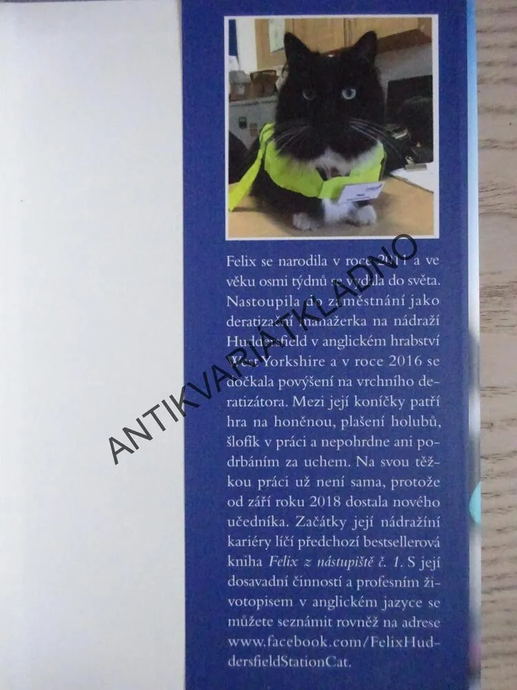 FELIX, PLNOU PAROU VPŘED, KATE MOOREOVÁ, **an