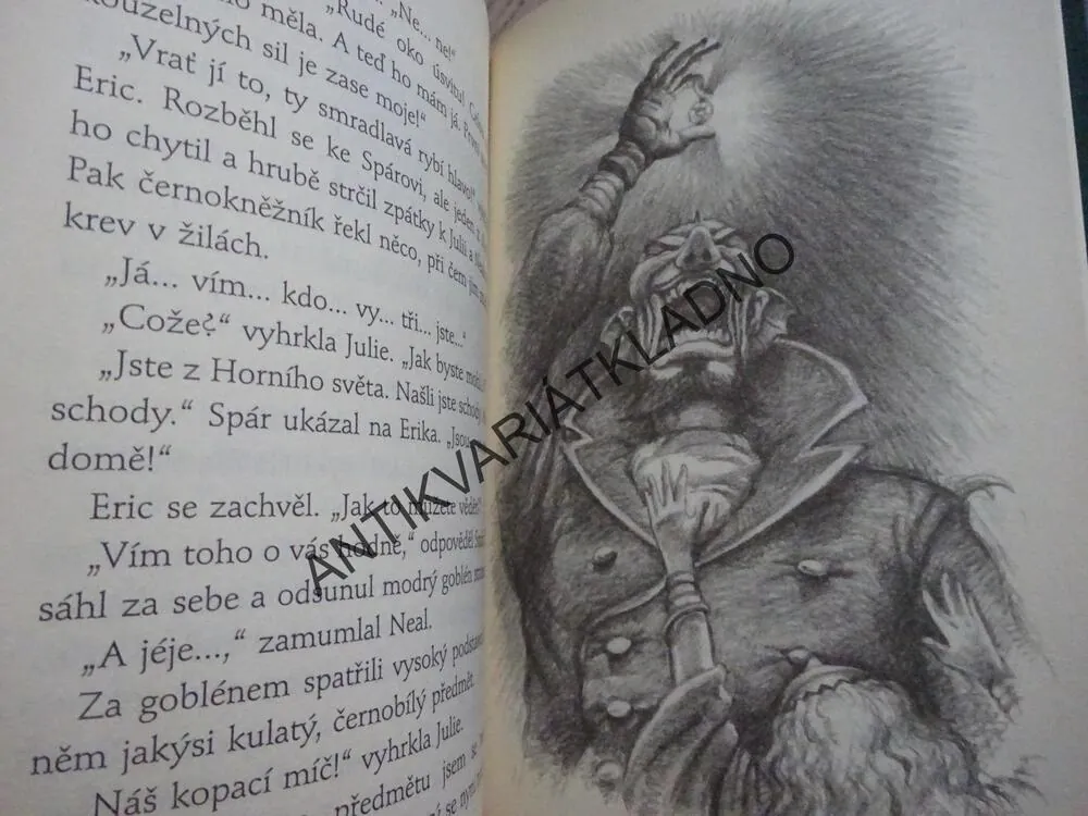 TAJEMSTVÍ ZEMĚ DRÚÚN, SKRYTÉ SCHODIŠTĚ A KOUZELNÝ KOBEREC, TONY ABBOTT, **an