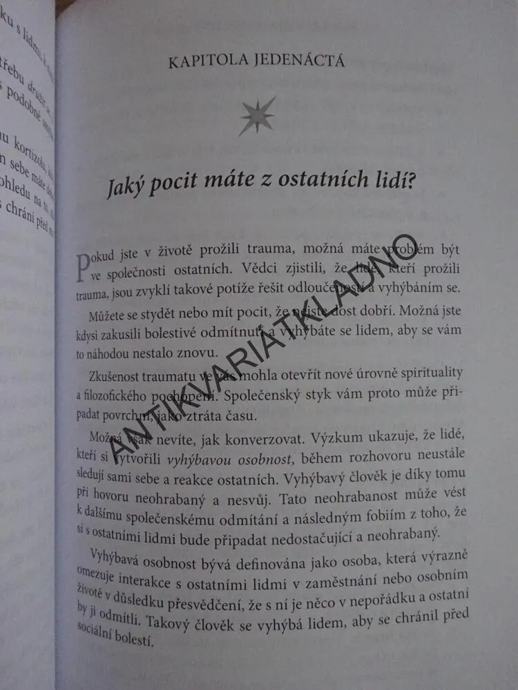 NENECHTE POHASNOUT SVOU JISKRU, DOREEN VIRTUE, **an