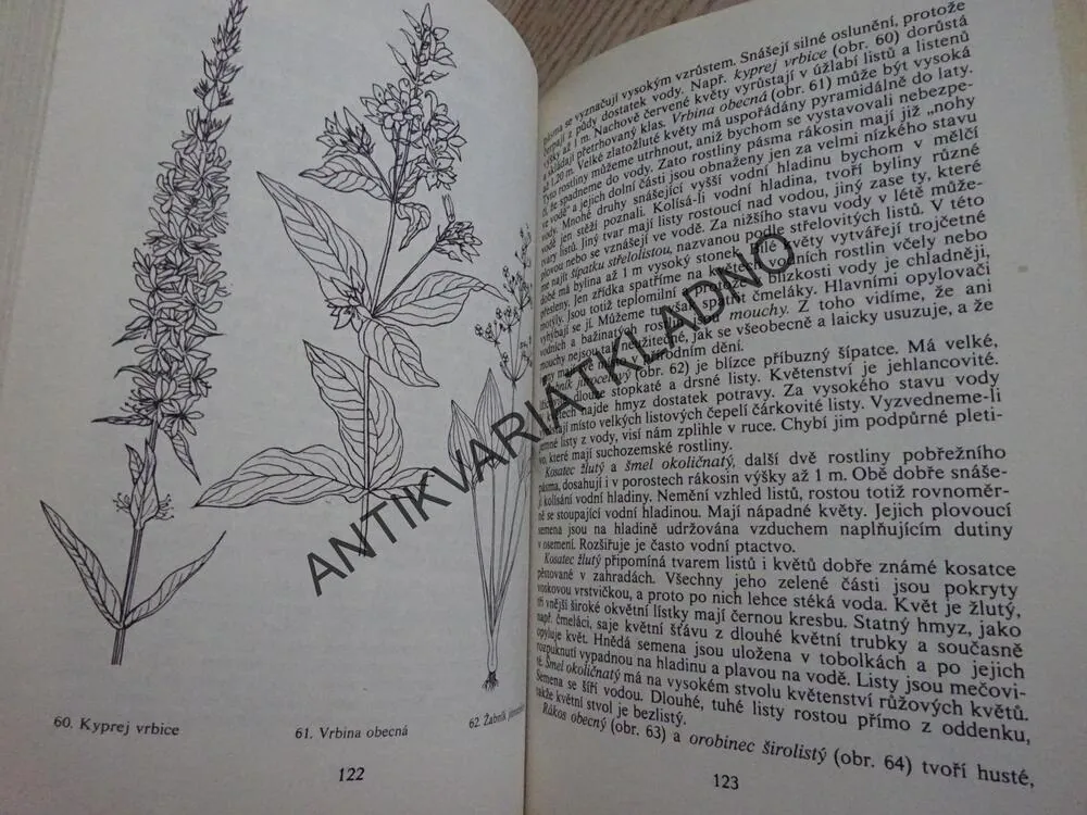METODIKA SEZNAMOVÁNÍ DĚTÍ S PŘÍRODOU, **an