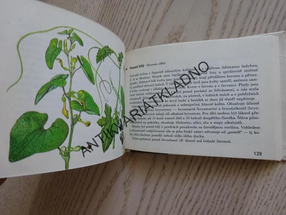 OKO 58 - NAŠE JEDOVATÉ ROSTLINY, NOVÁK, HÍSEK, **an