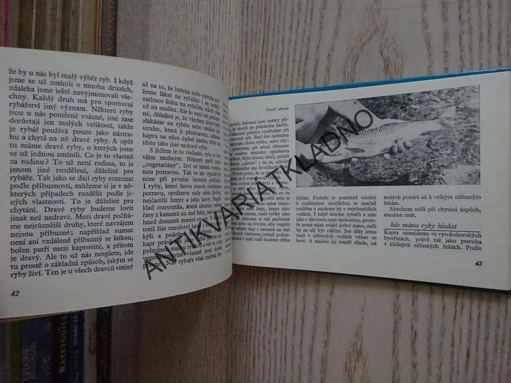 VODA RYBY RYBÁŘI, MILAN POHUNEK, **an