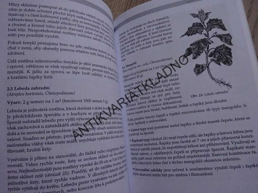 PĚSTUJEME ZELENINU, EVA PEKÁRKOVÁ, **an